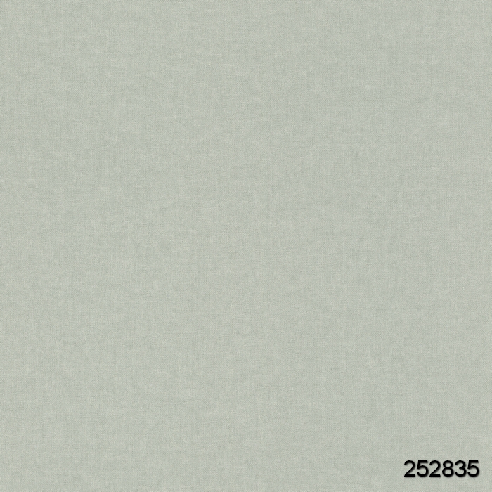252835