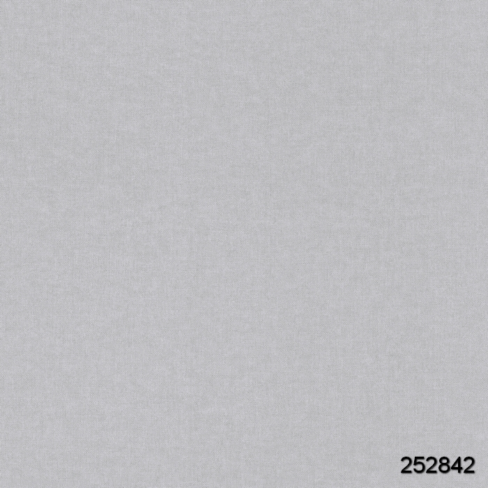 252842