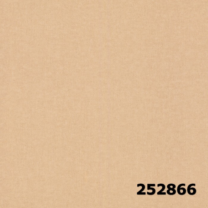 252866