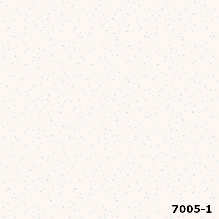 7005-1