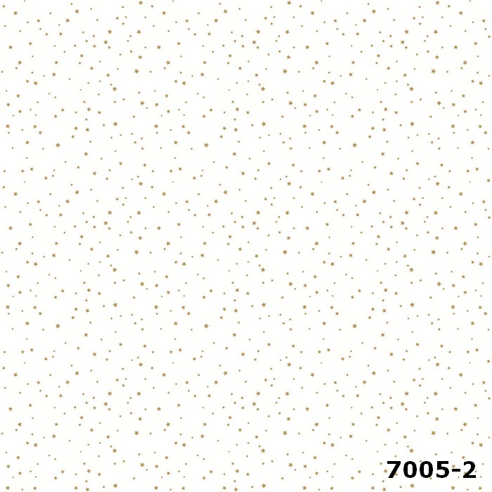 7005-2