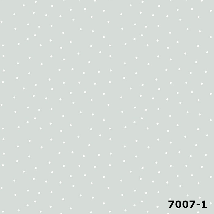7007-1