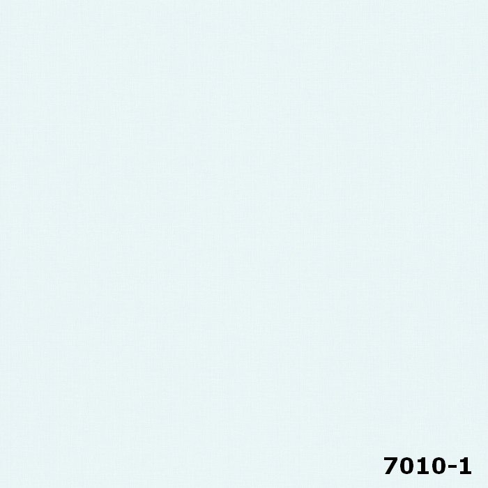 7010-1